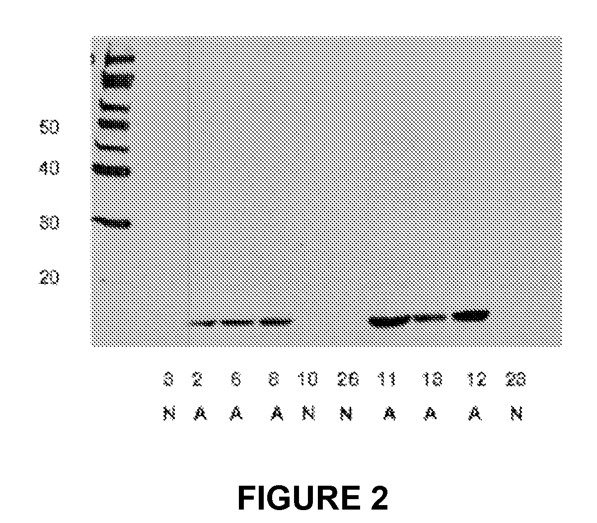 Methods and devices for diagnosis of appendicitis