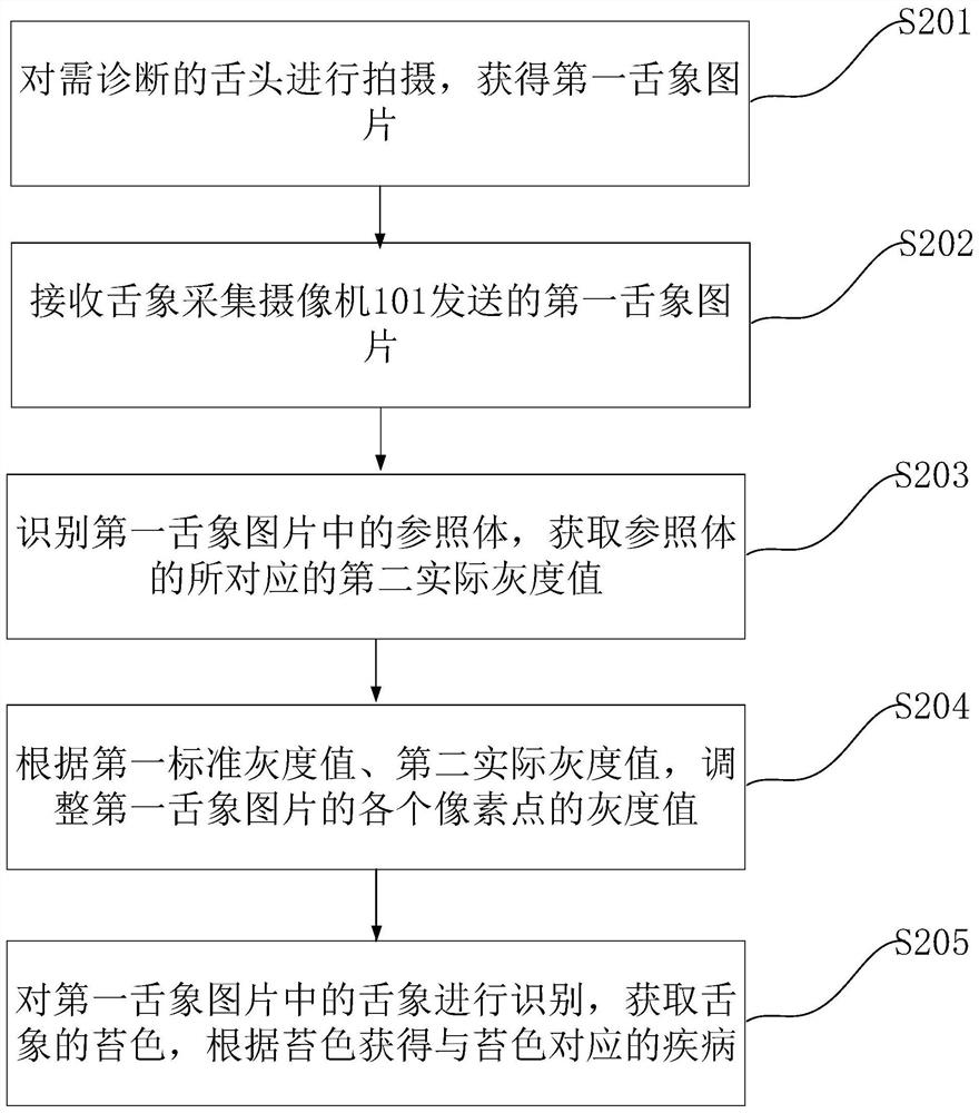 Artificial intelligence identification system for fur color in tongue picture