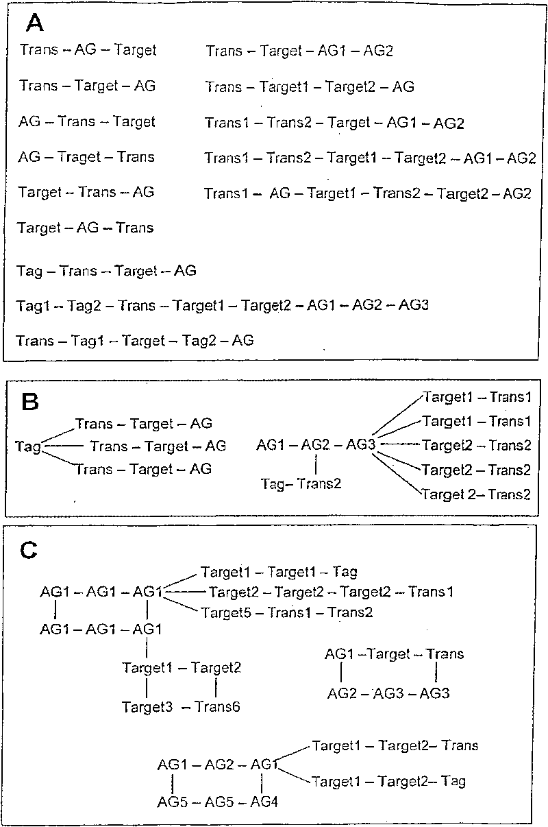 Modular antigen transporter molecules (MAT molecules) for modulating immune reactions, associated constructs, methods and uses