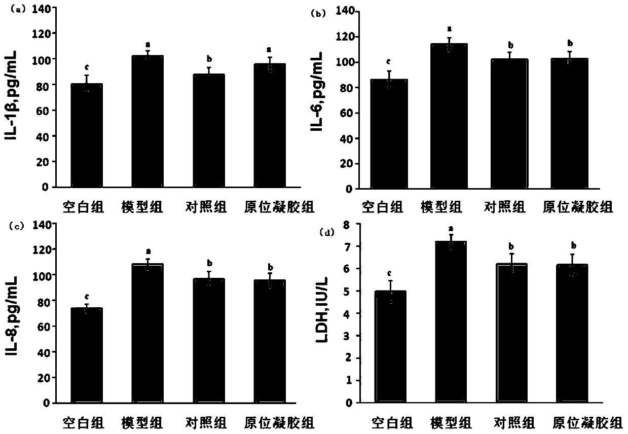 Soapberry in-situ gel preparation for treating candida albicans vaginitis and preparing method thereof