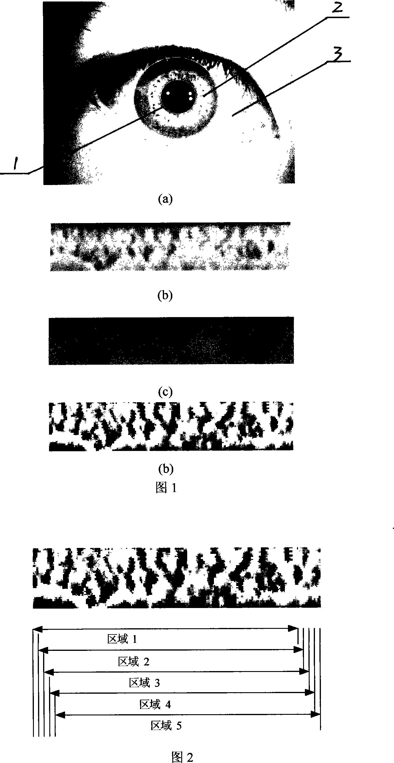 Iris recoganizing method base on multiresolution analysis