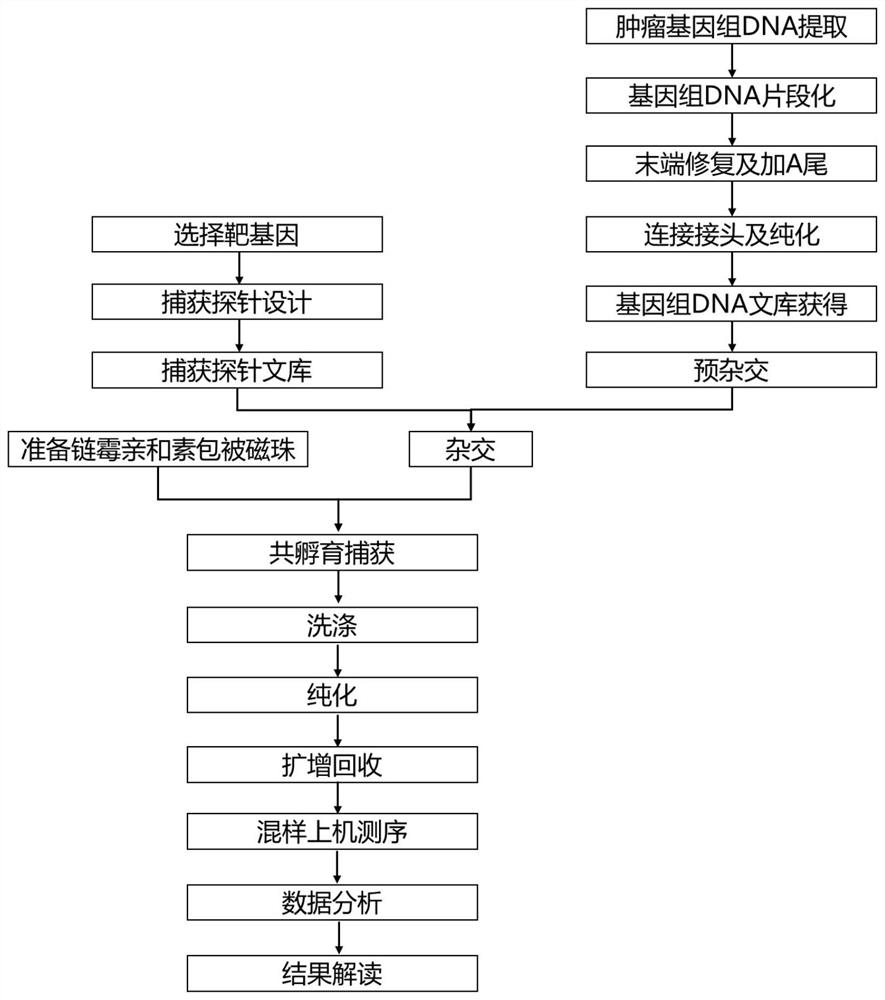 Method for capturing genetic colorectal cancer genome target sequence