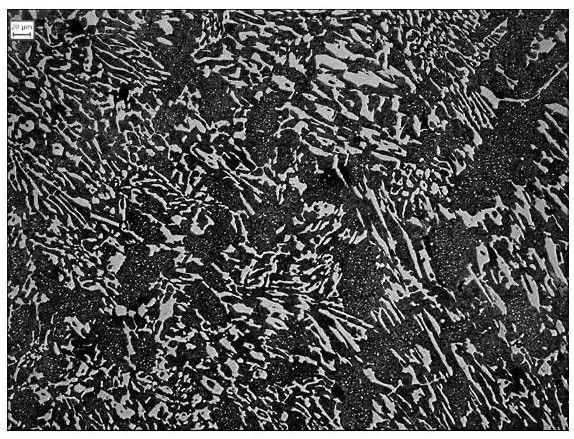 Novel electroweldable high-chromium white wear-resistant cast iron and preparation method thereof