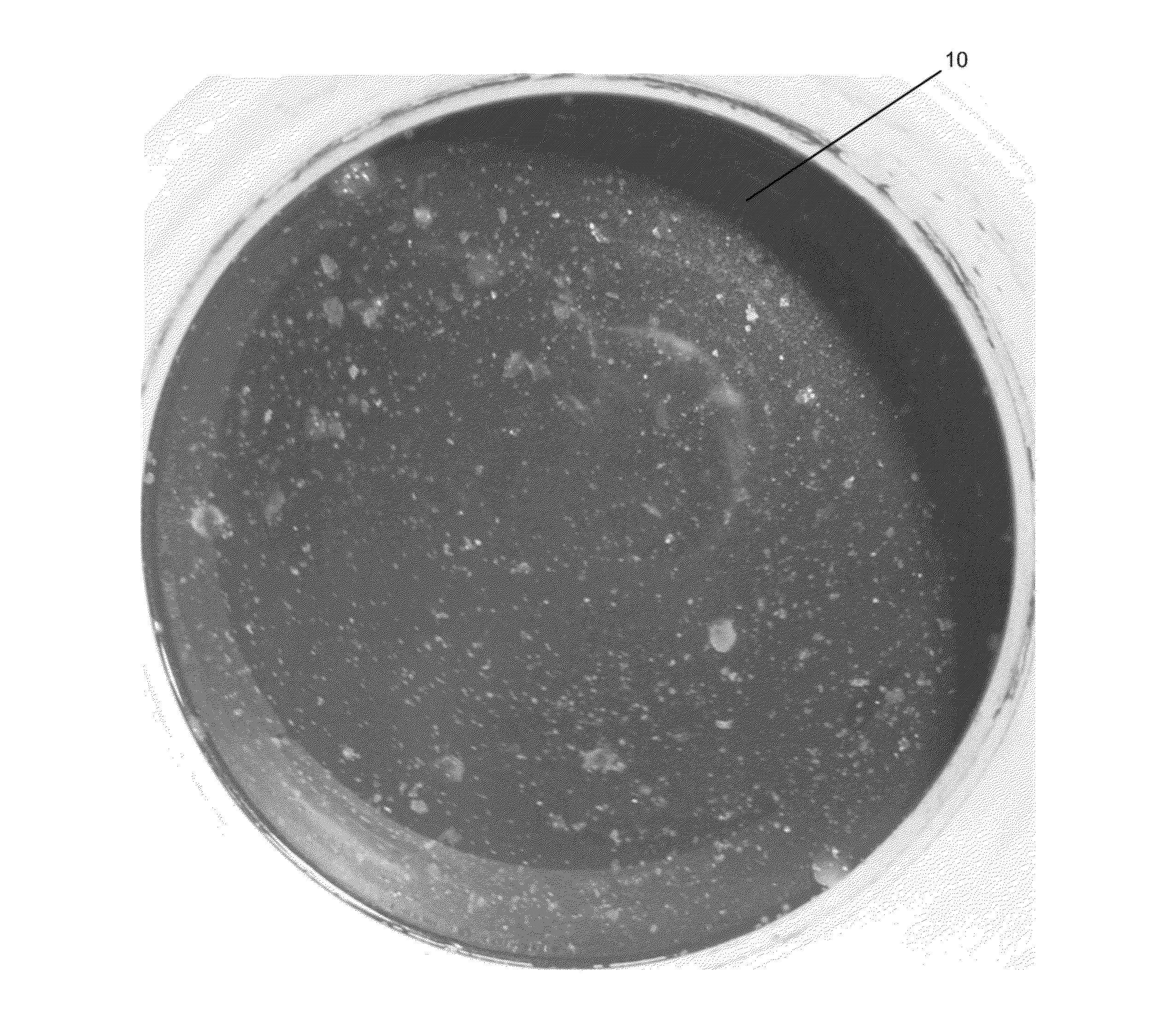 Pretreatment composition and method