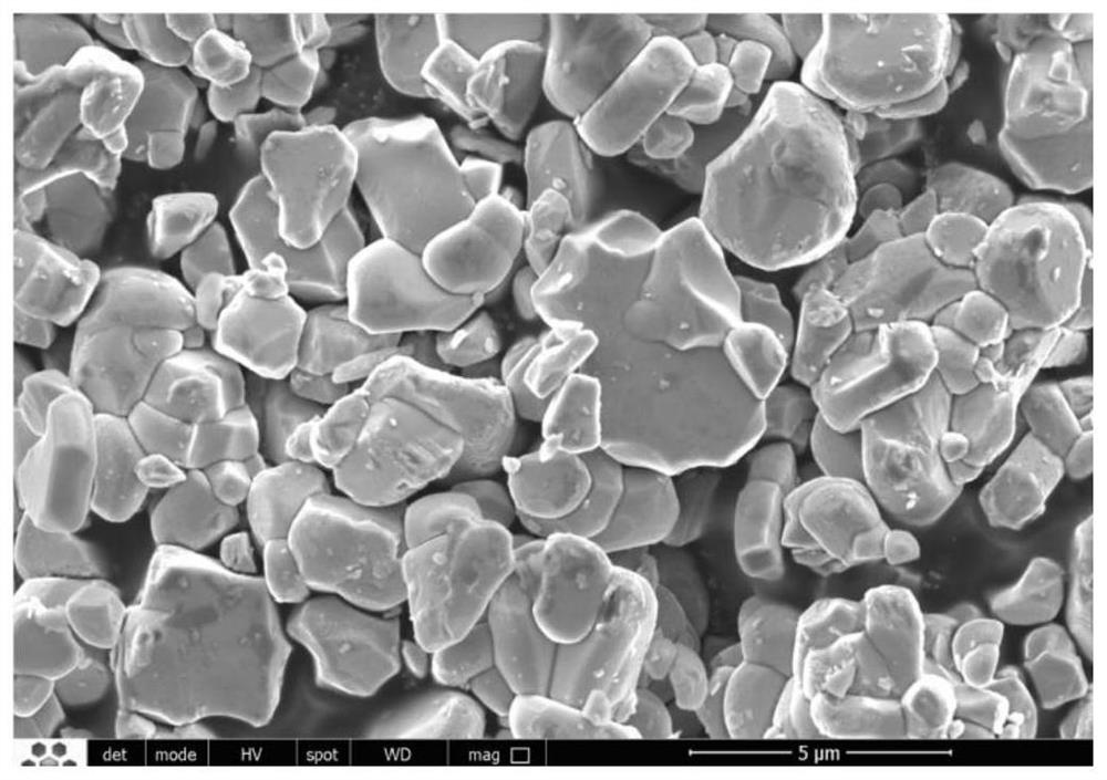 Method for one-step low-temperature preparation of large-particle-size single-crystal ternary positive electrode material