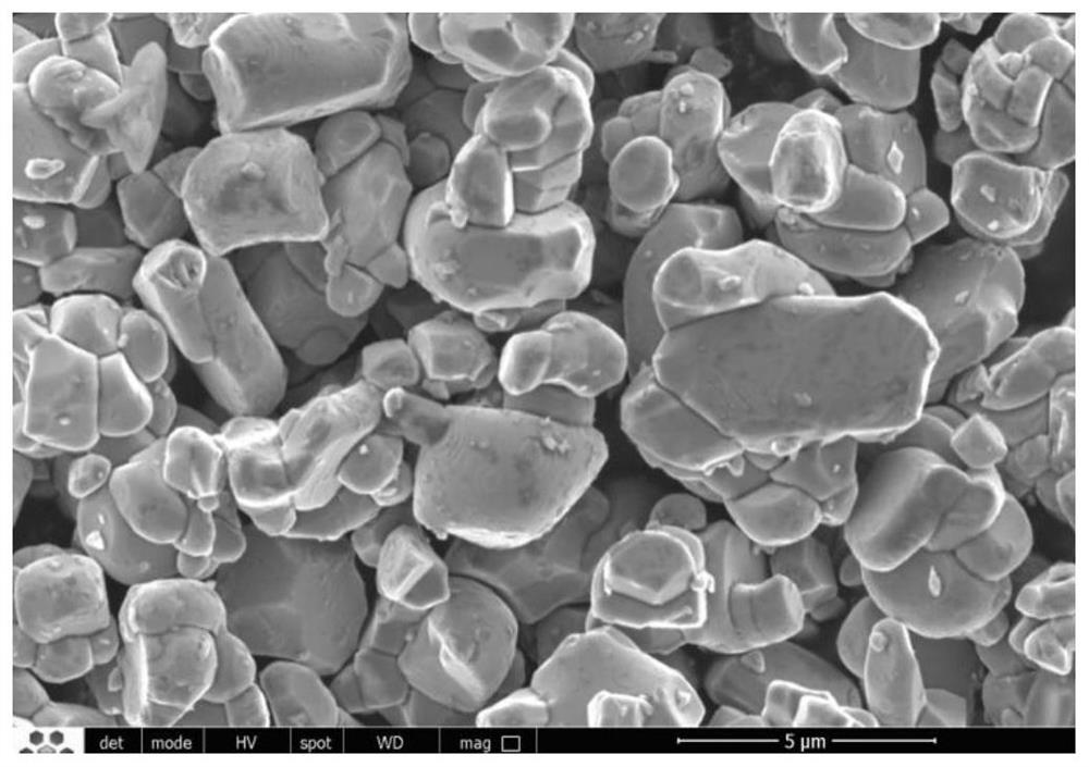 Method for one-step low-temperature preparation of large-particle-size single-crystal ternary positive electrode material