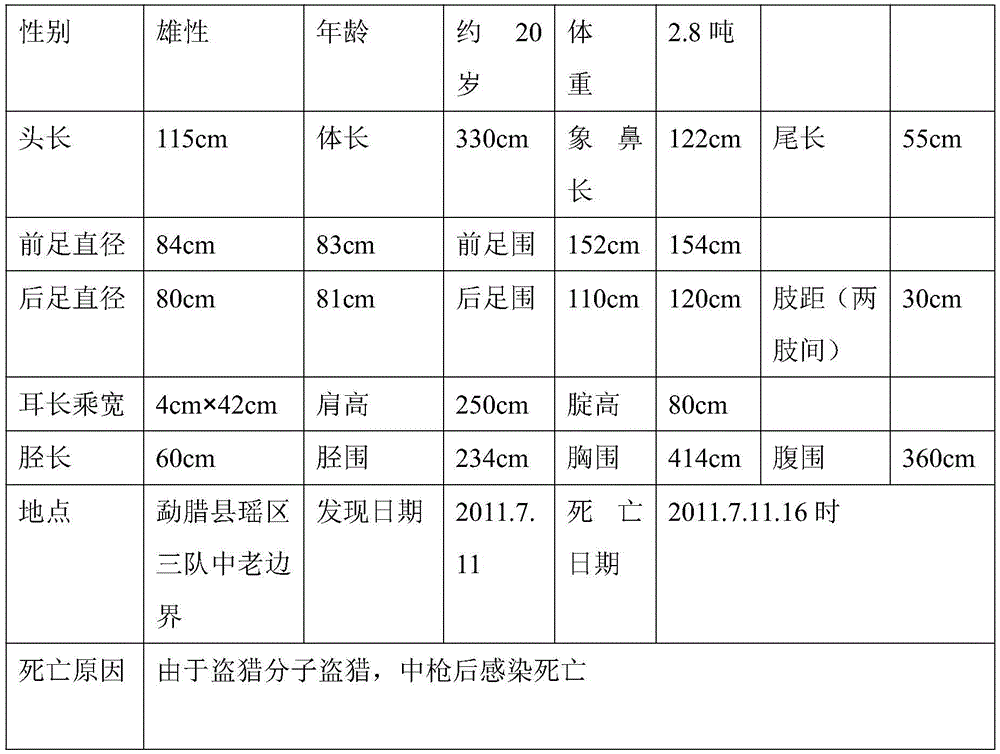 Manufacturing method for Asia elephant specimen