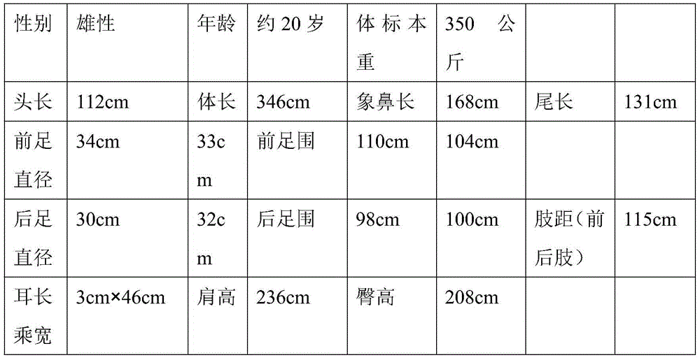 Manufacturing method for Asia elephant specimen