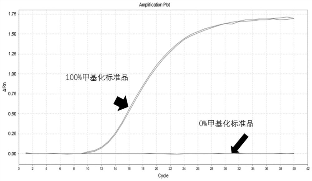 Methylated molecular marker or combination thereof for detecting benign and malignant pulmonary nodules and application of methylated molecular marker or combination thereof