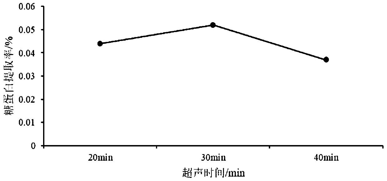 A kind of extraction method and application of medlar glycoprotein