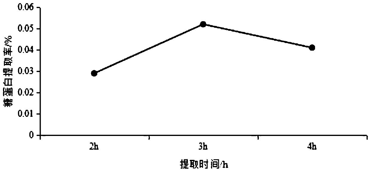 A kind of extraction method and application of medlar glycoprotein