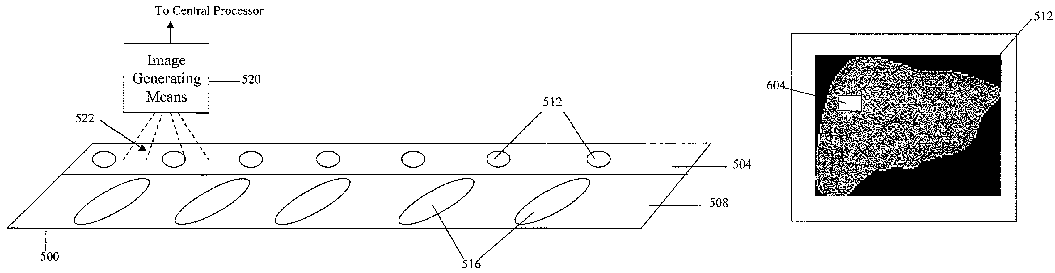 Methods and systems for administering a drug program related to livestock