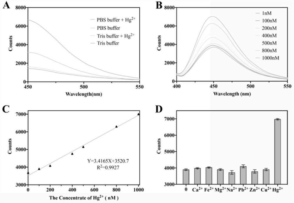 Preparation method and application of fluorescently-labeled aptamer metal organic framework probe