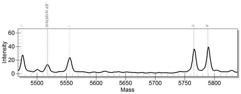 Kit for detecting human diabetes sensitive genes