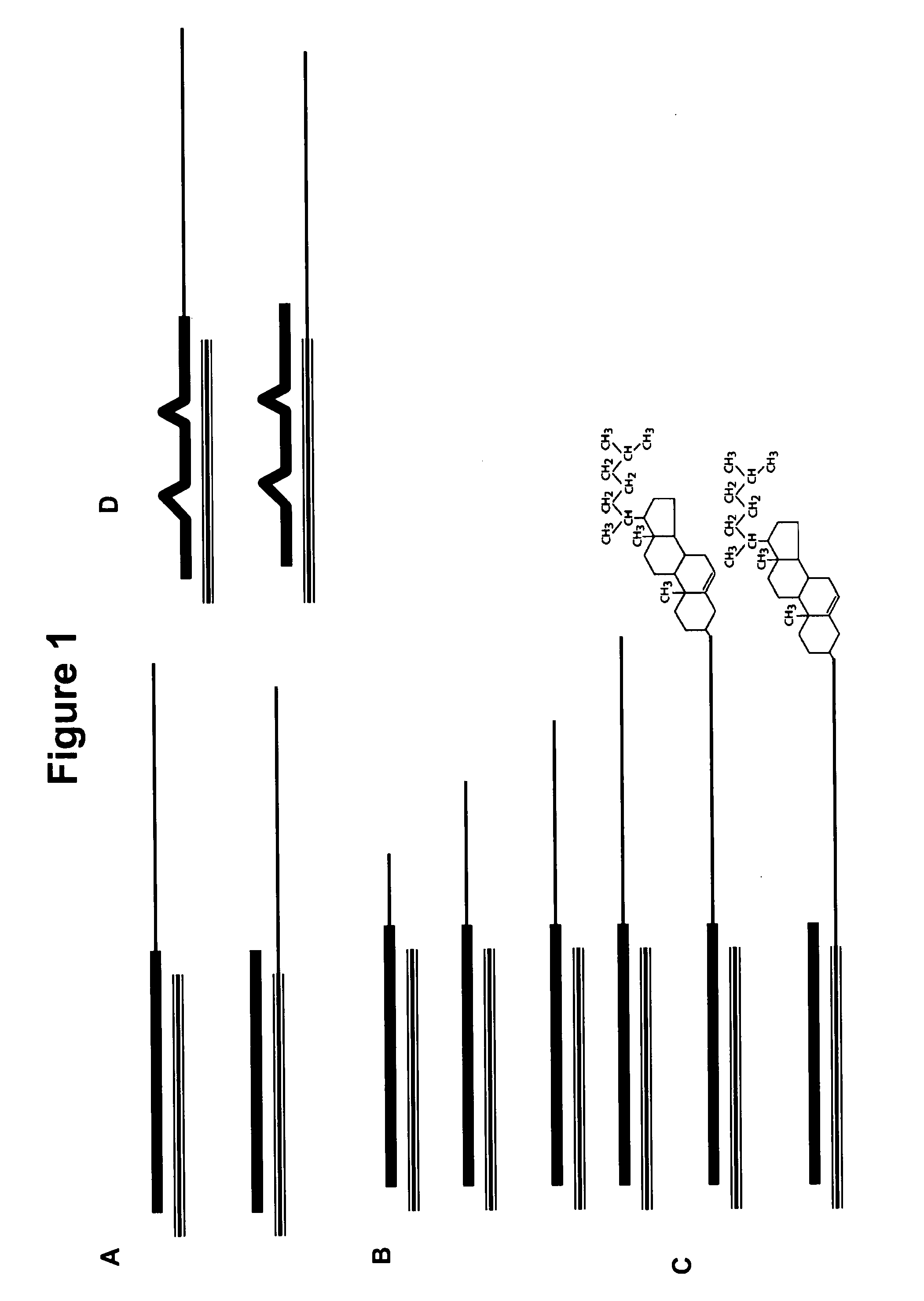 Neutral nanotransporters