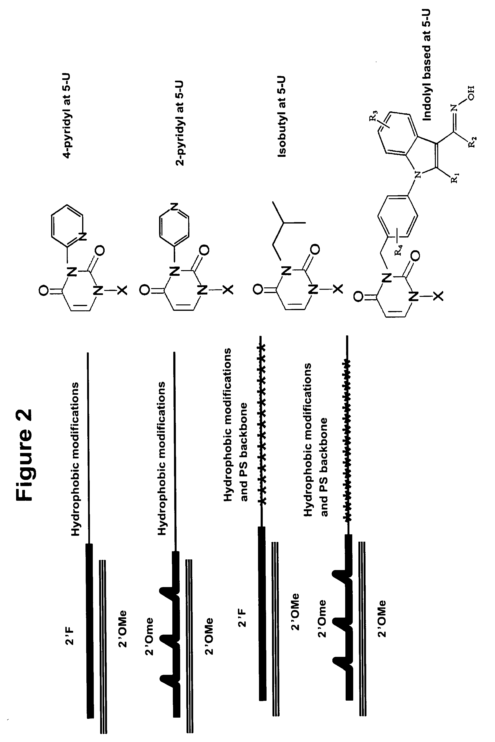 Neutral nanotransporters