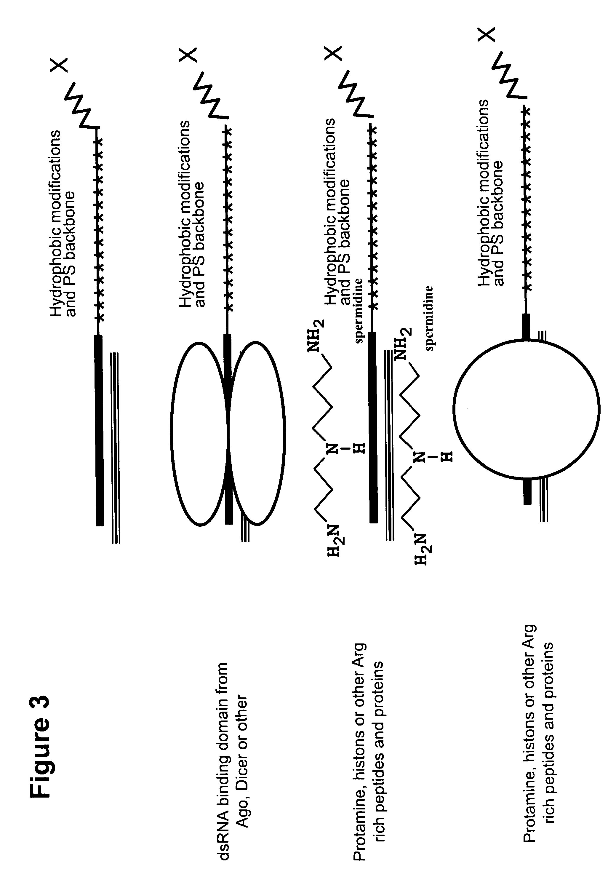 Neutral nanotransporters