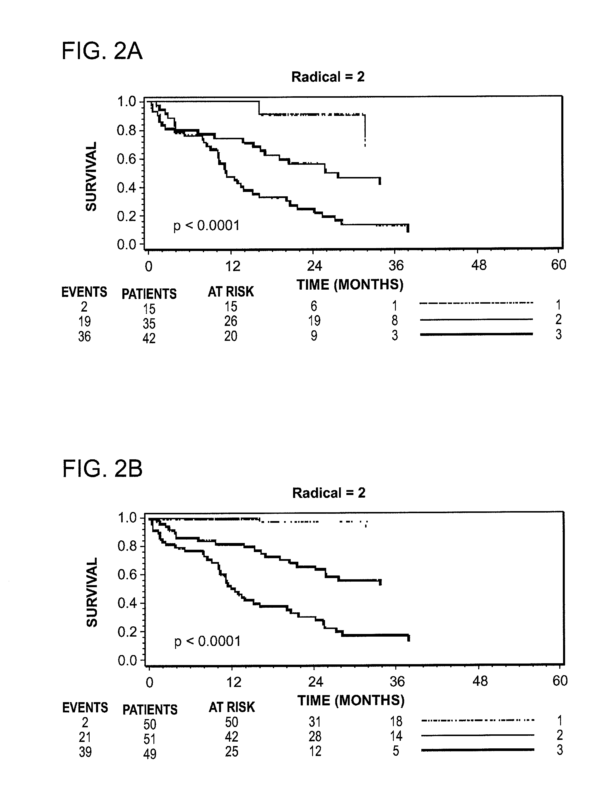 Prognostic Biomarkers in Patients with Ovarian Cancer