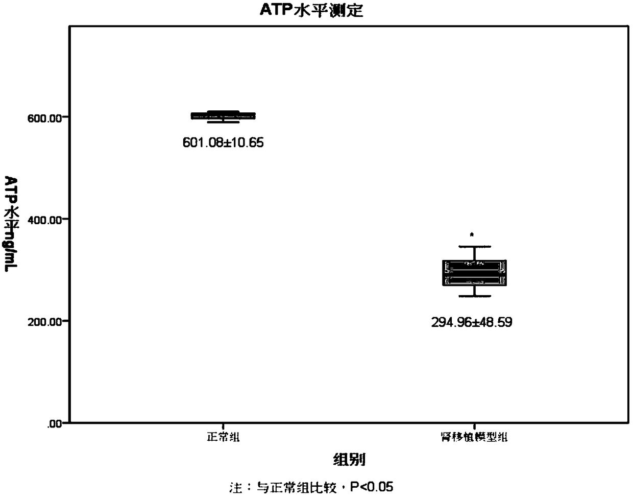 Rat CD4 (Cluster of Differentiation 4) antibody coated magnetic beads, preparation method and application therefor and kit containing magnetic beads