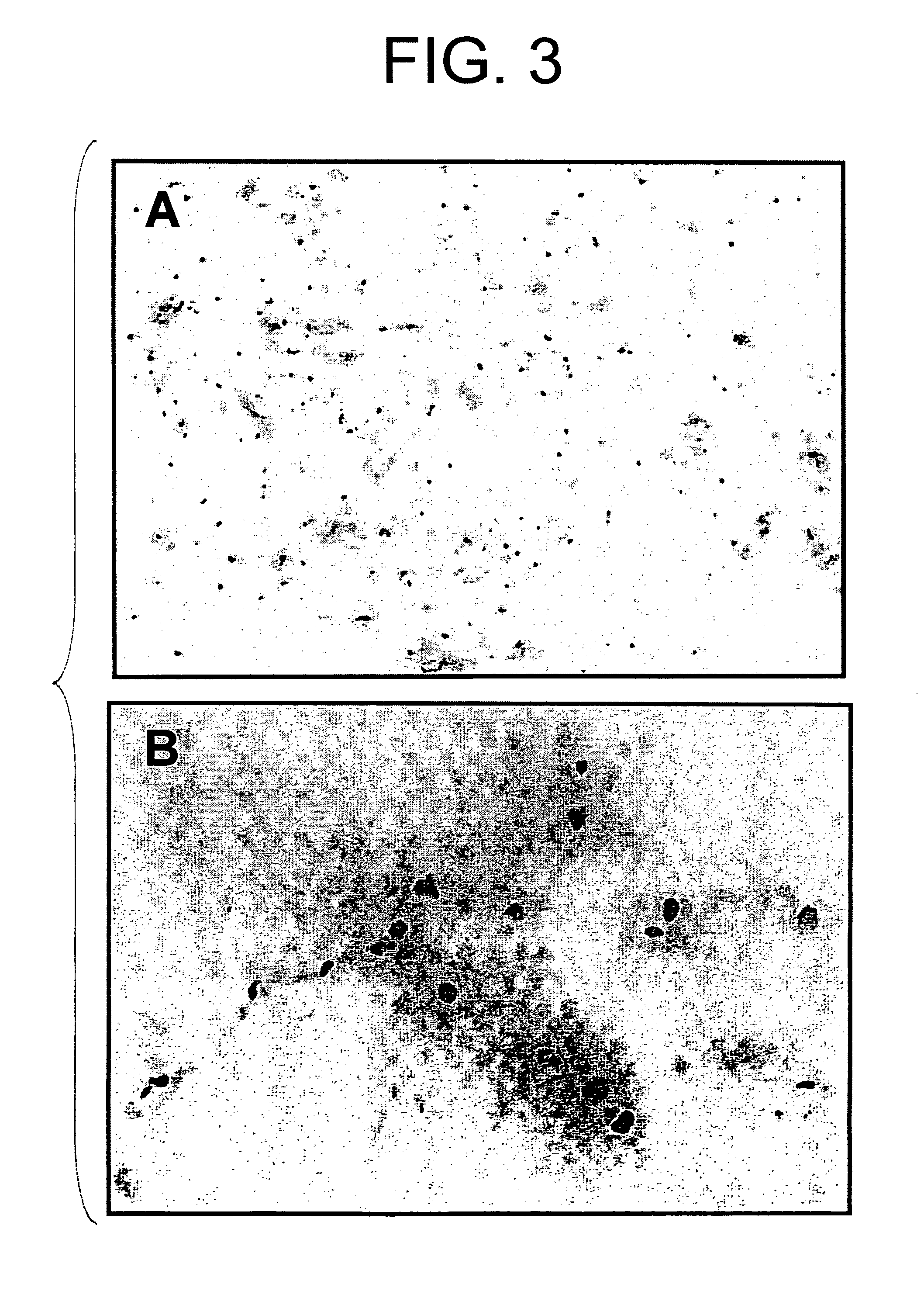 Method of gene transfer via vascular system or ureter