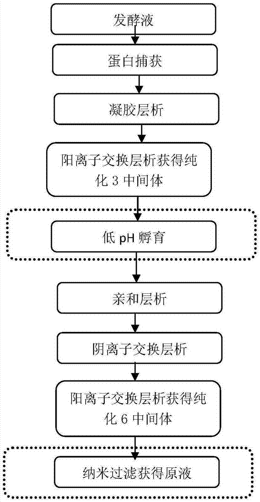 Method for purification and virus removal of recombinant human prourokinase