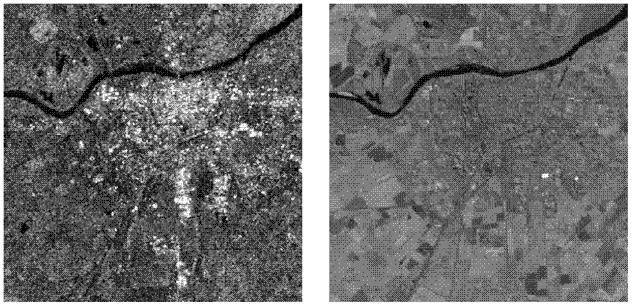 Fusion method of SAR (Synthetic Aperture Radar) images and visible light images on the basis of NSCT (Non Subsampled Contourlet Transform)