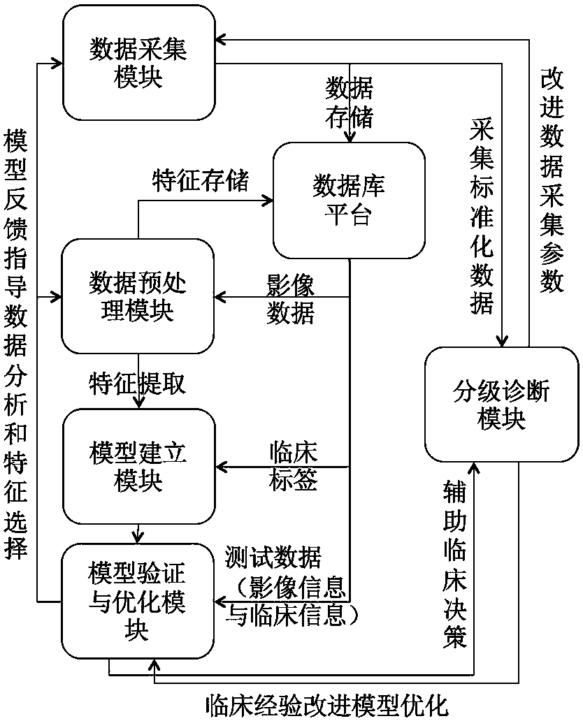 Tumor malignant risk stratification auxiliary diagnosis system of artificial intelligence medical image