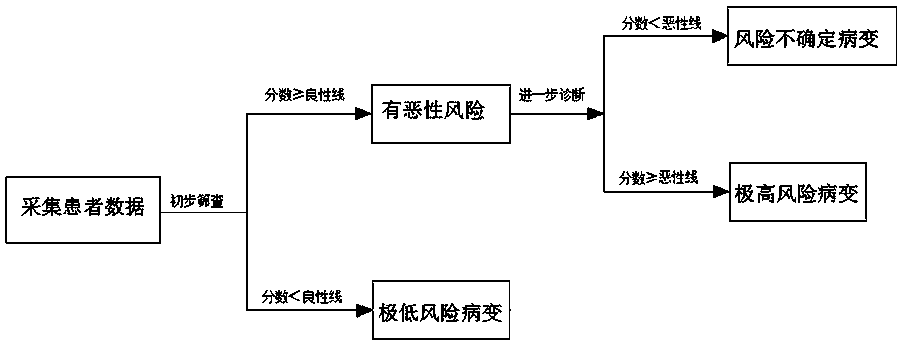 Tumor malignant risk stratification auxiliary diagnosis system of artificial intelligence medical image