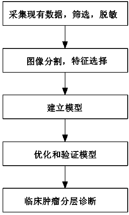 Tumor malignant risk stratification auxiliary diagnosis system of artificial intelligence medical image