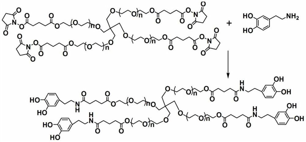 A kind of sealing agent hydrogel and its kit and preparation method