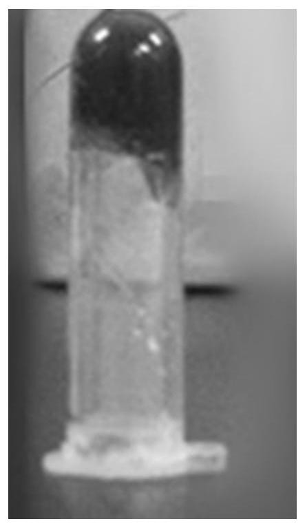 A kind of sealing agent hydrogel and its kit and preparation method