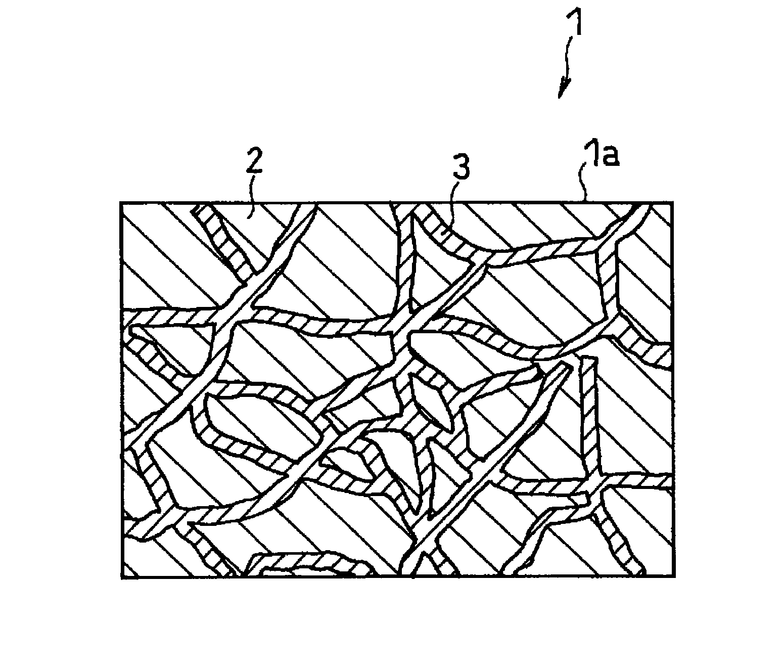 All solid-state polymer battery