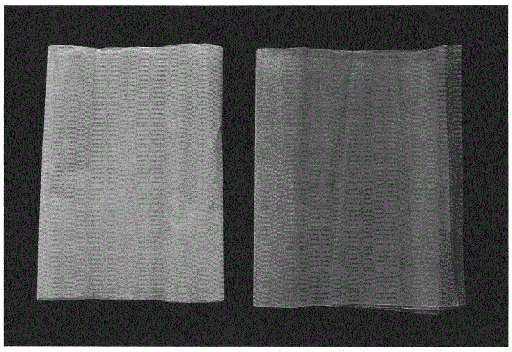 Nano preservative film for preventing edible fungus from deterioration and application thereof