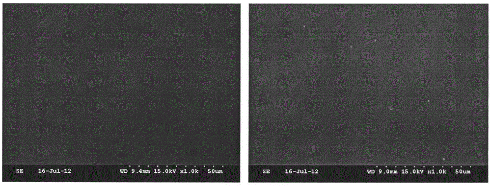 Nano preservative film for preventing edible fungus from deterioration and application thereof