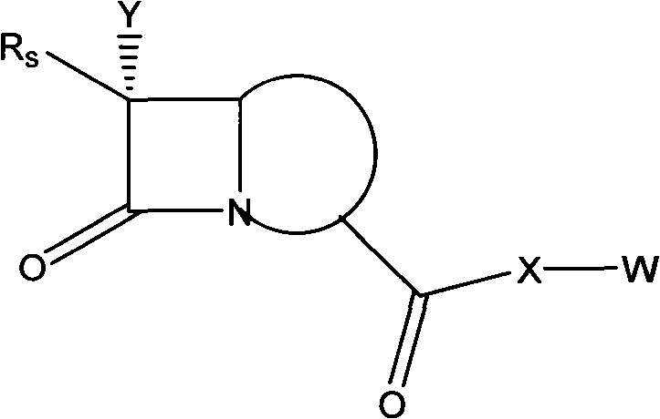 Anti-drug resistance antibiotic