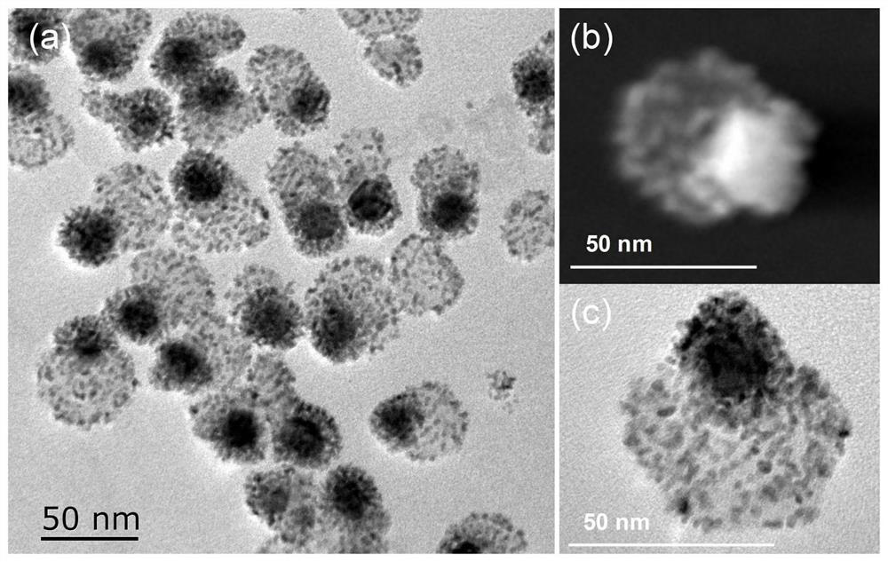 A kind of pt-modified au/cuse tangential heterogeneous nanomaterial and preparation method thereof