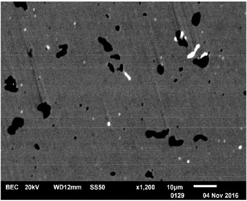 Environment-friendly lead-free easy-cutting stainless steel used for ball-point pen point and smelting method thereof