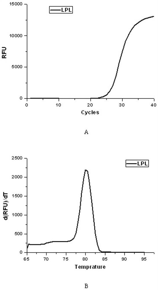 A specific primer and fluorescent quantitative detection kit for detecting bovine lpl gene mrna expression level