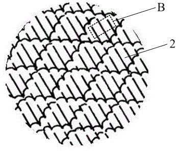 Design method for uniform gradual change type high-reality shark-imitated groove microstructure on middle-size and large-size rotor blades