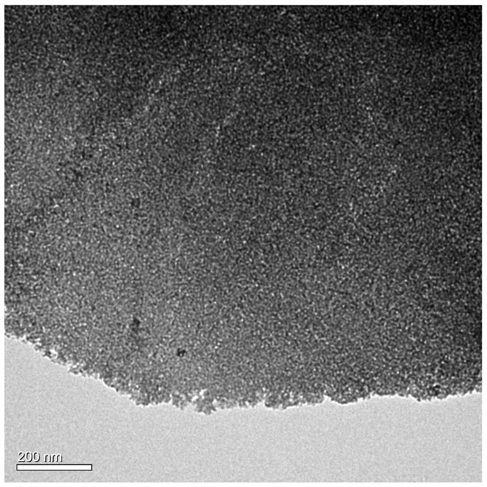 A method for preparing single-layer porous cobalt oxyhydroxide nanosheets by electrochemical oxidation