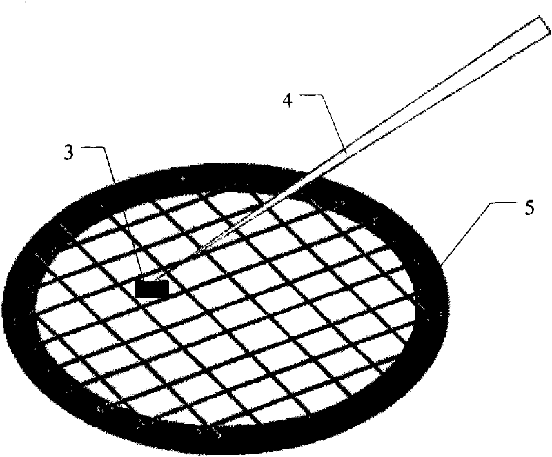 Method for preparing observation sample of transmission electron microscope