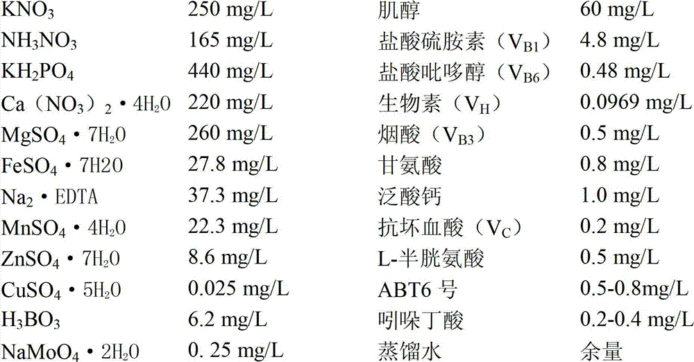 Eucalypt tissue culture medium