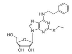 Bi-functional antiplatelet aggregation medicine and application thereof