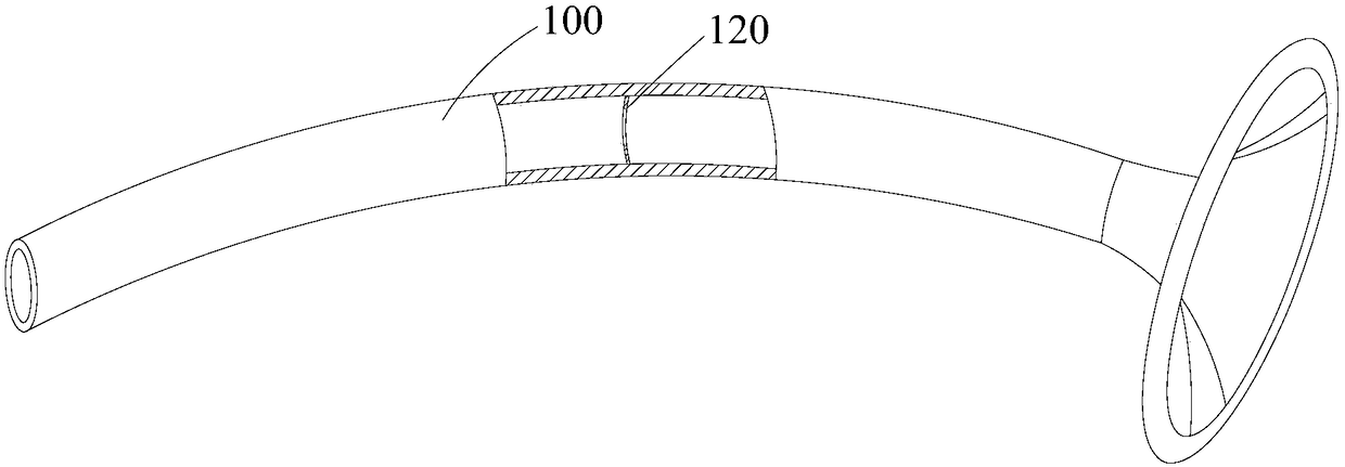 Oropharyngeal airway capable of performing mouth-to-mouth resuscitation