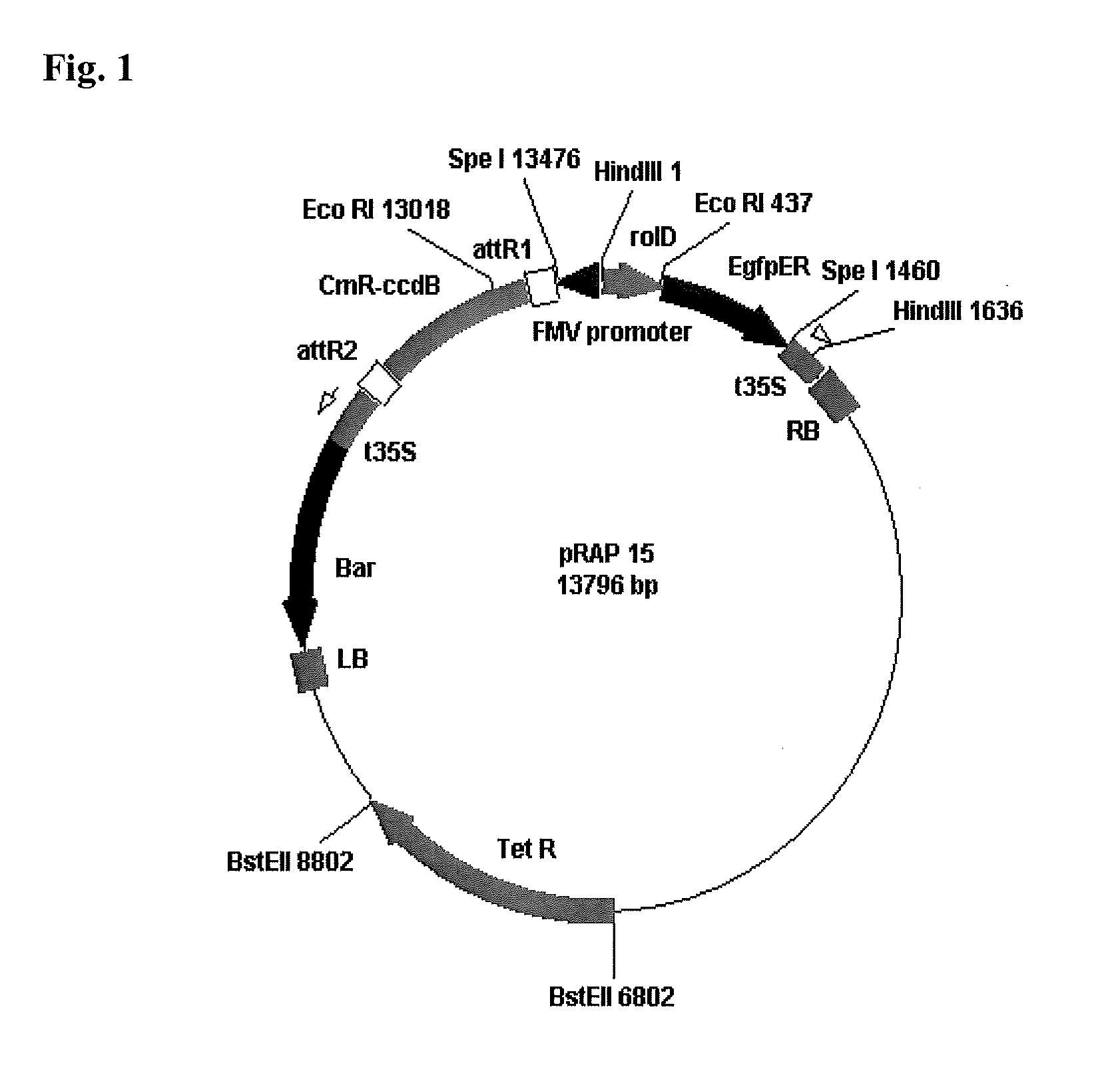 Methods for Increasing Resistance to Soybean Cyst Nematode in Soybean Plants