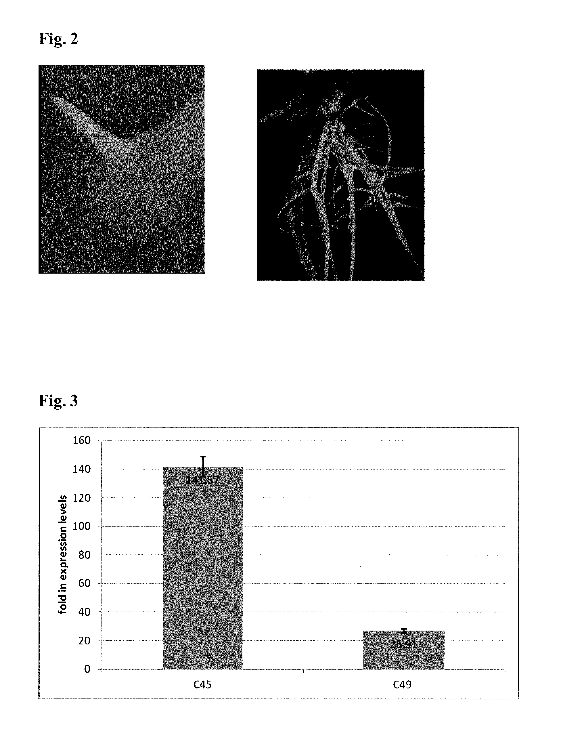 Methods for Increasing Resistance to Soybean Cyst Nematode in Soybean Plants