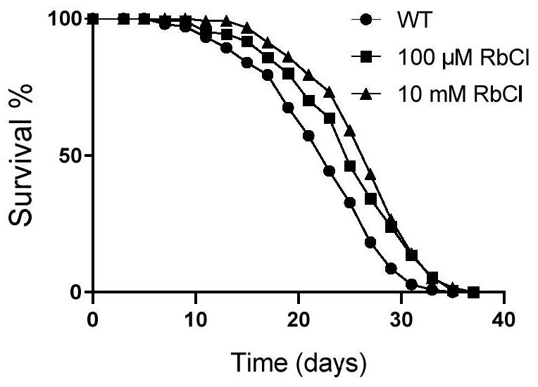 Application of rubidium salt and rubidium salt solution in preparation of life-prolonging and/or anti-aging products