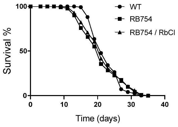 Application of rubidium salt and rubidium salt solution in preparation of life-prolonging and/or anti-aging products