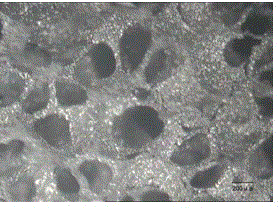 Method for preparing medical implant material multi-hole tantalum