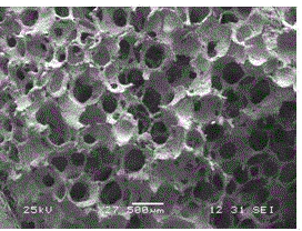 Method for preparing medical implant material multi-hole tantalum